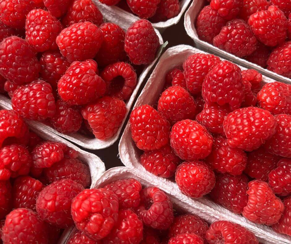 how-to-meal-plan-on-a-budget-how-to-save-money-grocery-shopping-pretty-little-motherhood